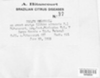 Image Associated With the Occurence